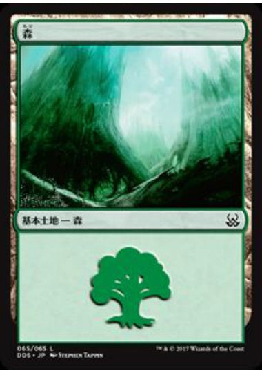 (日)森 / Forest【MVSM】 No.065