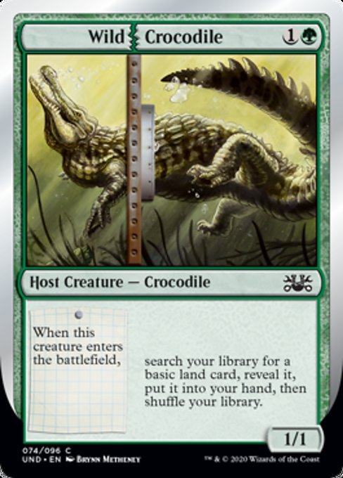 (英)Wild|Crocodile 【UND】 No.074