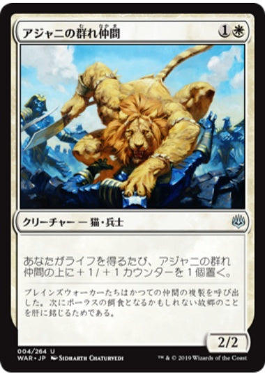 (日)【Foil】アジャニの群れ仲間 / Ajani's Pridemate【WAR】 No.004