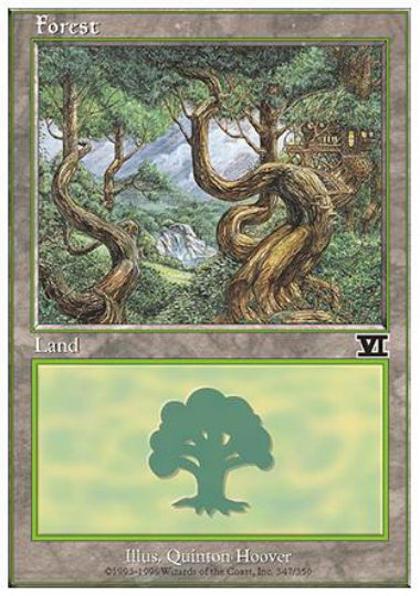 (英)森 / Forest【6ED】 No.347