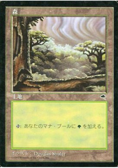 (日)森 / Forest【TMP】 No.350
