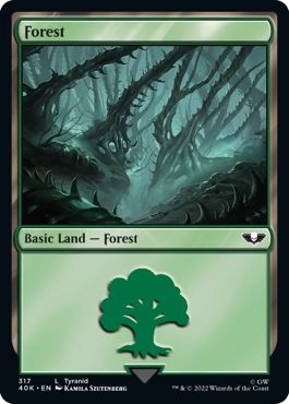 (英)森 / Forest【40K】 No.317