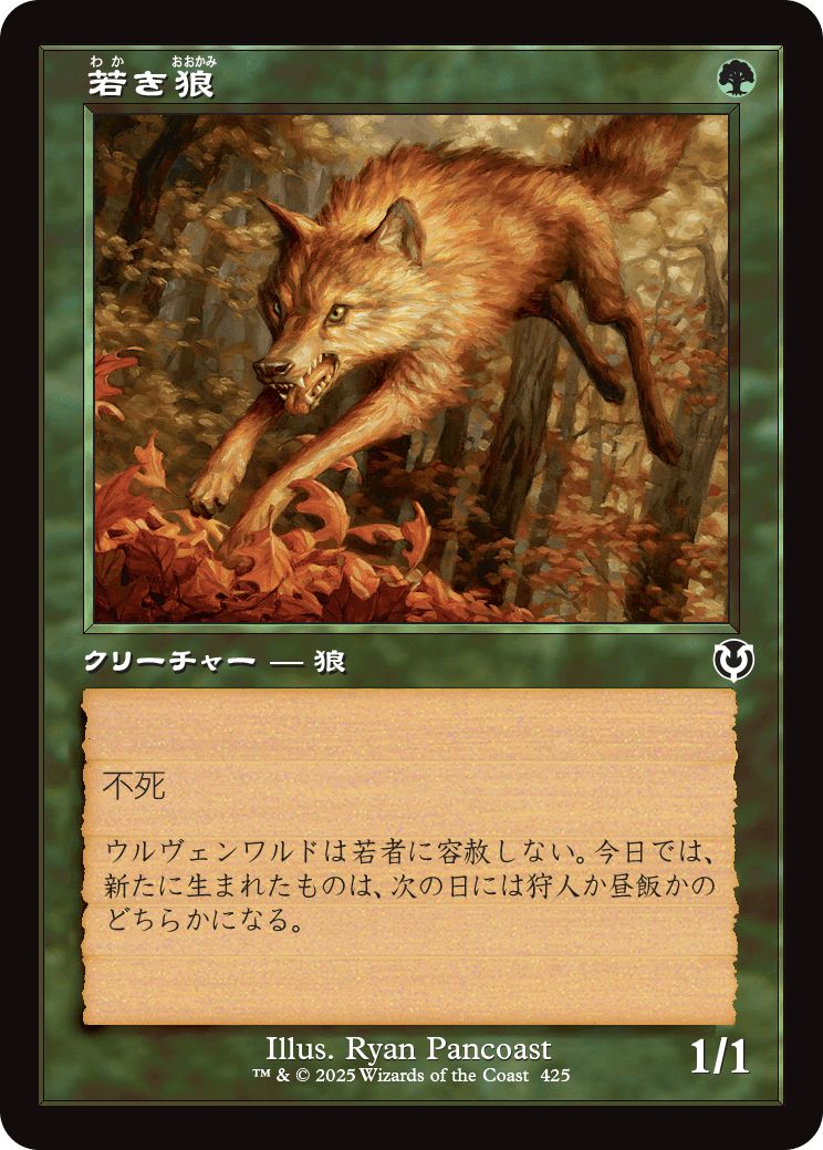 (日)【Foil】若き狼 / Young Wolf ★ショーケース枠★(旧枠加工カード) 【INR】 No.425