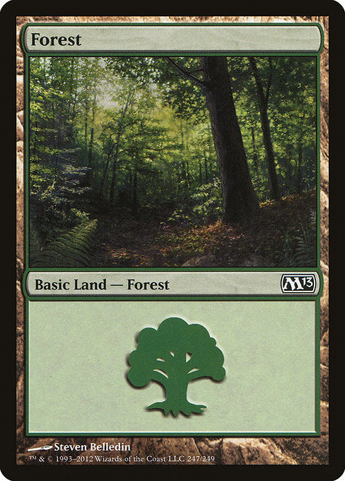 (英)森 / Forest【M13】 No.247