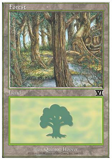 (英)森 / Forest【6ED】 No.348