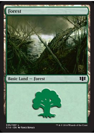 (英)森 / Forest【C14】 No.335