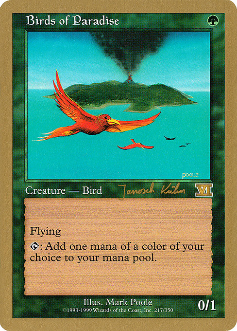 (英)極楽鳥 / Birds of Paradise【WC00】 World Championship Decks 2000 Janosch Kuhn 金枠 No.050