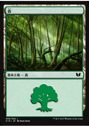 (日)森 / Forest【C15】 No.339