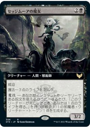 (日)【Foil】セッジムーアの魔女 / Sedgemoor Witch ★拡張枠★ 【STX】 No.306