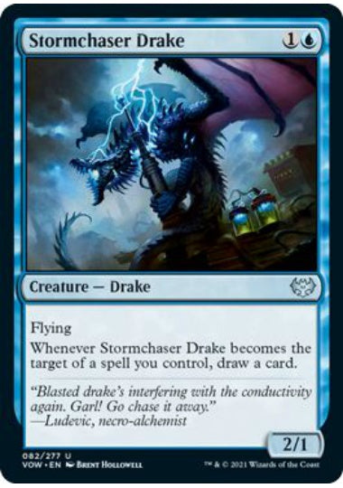 (英)【Foil】嵐追いのドレイク / Stormchaser Drake【VOW】 No.082