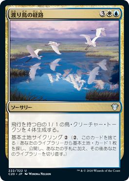 (日)渡り鳥の経路 / Migratory Route【C20】 No.222