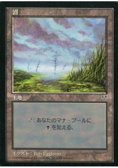 (日)沼 / Swamp【MIR】 No.342