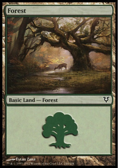 (英)【Foil】森 / Forest【AVR】 No.244