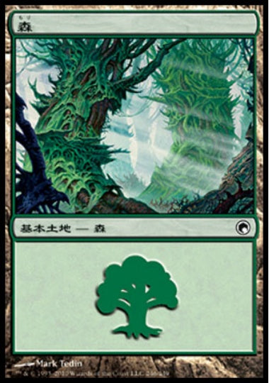 (日)森 / Forest【SOM】 No.246