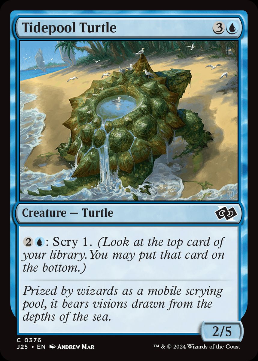 (英)潮溜まりの亀 / Tidepool Turtle【J25】 No.376