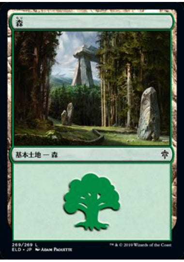 (日)森 / Forest【ELD】 No.269