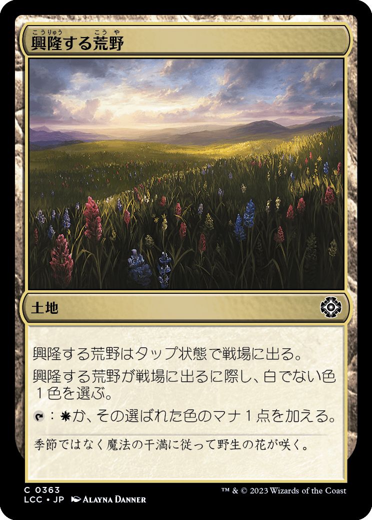 (日)興隆する荒野 / Thriving Heath【LCC】 No.363