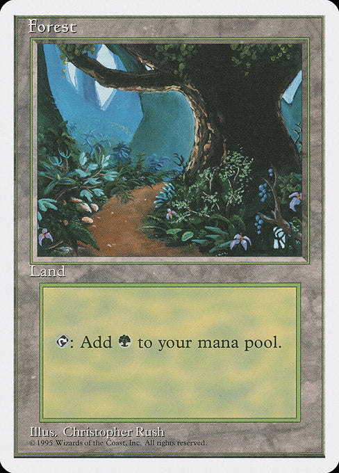 (英)森 / Forest【4ED】 (Flowers and Path) No.376