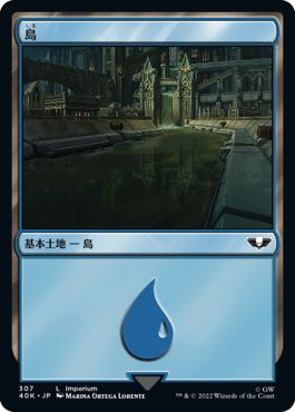 (日)島 / Island【40K】 No.307