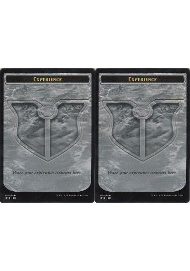 (英)経験カウンタートークン / Experience Counter Token No.000 - 経験カウンタートークン / Experience Counter Token【C15-TOKEN】 No.000