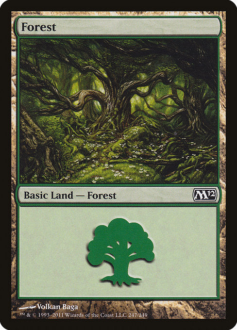 (英)森 / Forest【M12】 No.247