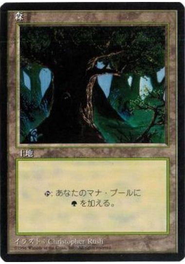 (日)森 / Forest【4ED】 (Dark Tree) 黒枠 No.377