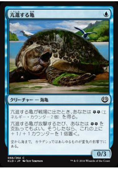 (日)亢進する亀 / Thriving Turtle【KLD】 No.066