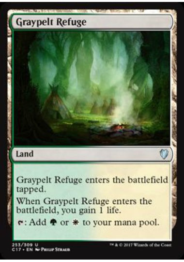 (英)灰色革の隠れ家 / Graypelt Refuge【C17】 No.253