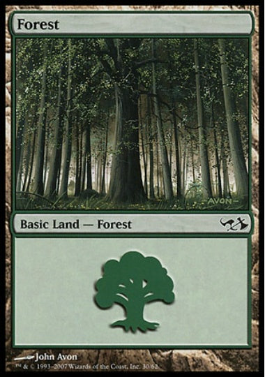 (英)森 / Forest【EVSG】 No.030