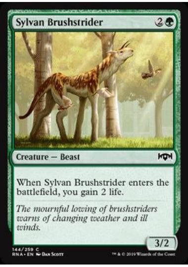 (英)【Foil】森の刷毛履き / Sylvan Brushstrider【RNA】 No.144