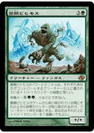 (日)菌類ビヒモス / Fungal Behemoth【PLC】 No.128