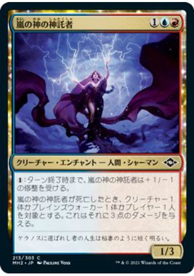 (日)【Foil】嵐の神の神託者 / Storm God's Oracle【MH2】 No.213