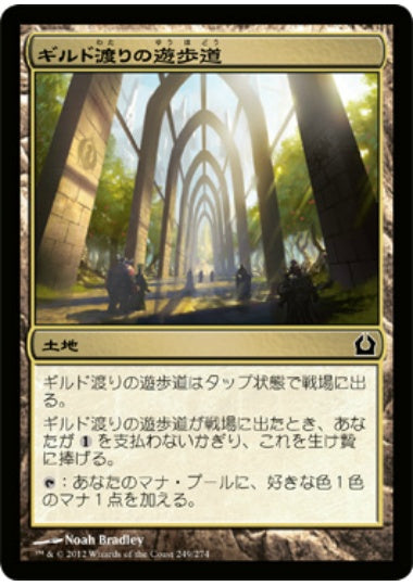 (日)【Foil】ギルド渡りの遊歩道 / Transguild Promenade【RTR】 No.249
