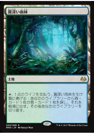(日)【Foil】霧深い雨林 / Misty Rainforest【MM3】 No.240