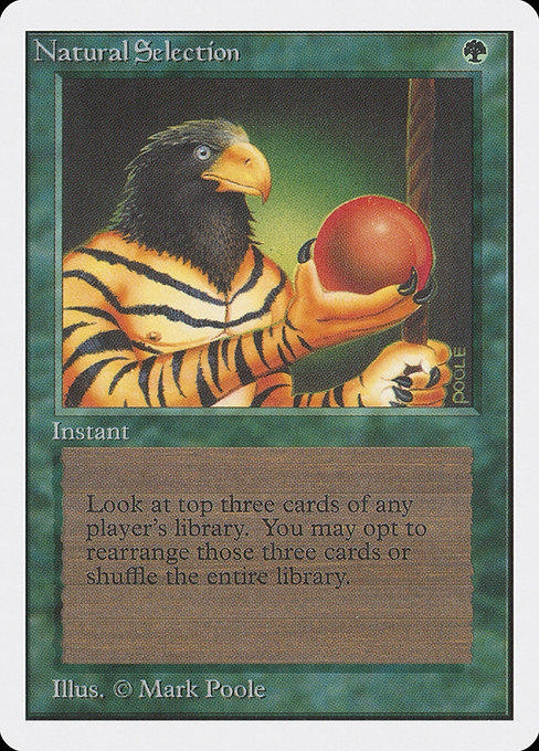 (英)Natural Selection【2ED】 No.213