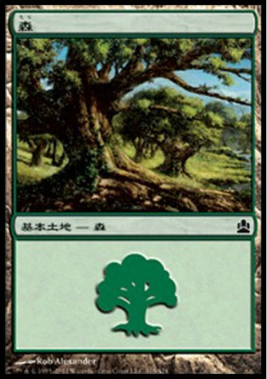 (日)森 / Forest【CMD】 No.315