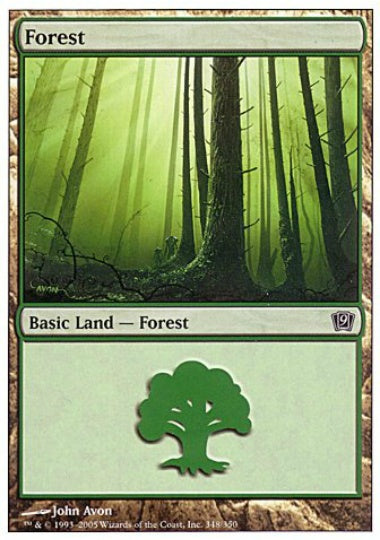 (英)森 / Forest【9ED】 No.348