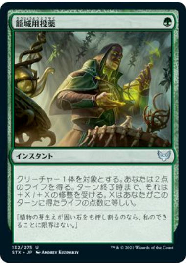 (日)【Foil】籠城用投薬 / Fortifying Draught【STX】 No.132