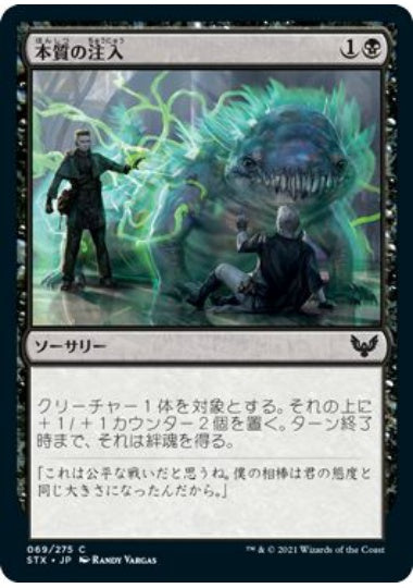 (日)【Foil】本質の注入 / Essence Infusion【STX】 No.069