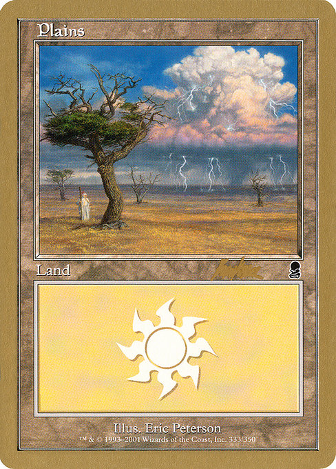(英)平地 / Plains【WC02】 World Championship Decks 2002 Brian Kibler 金枠 No.091