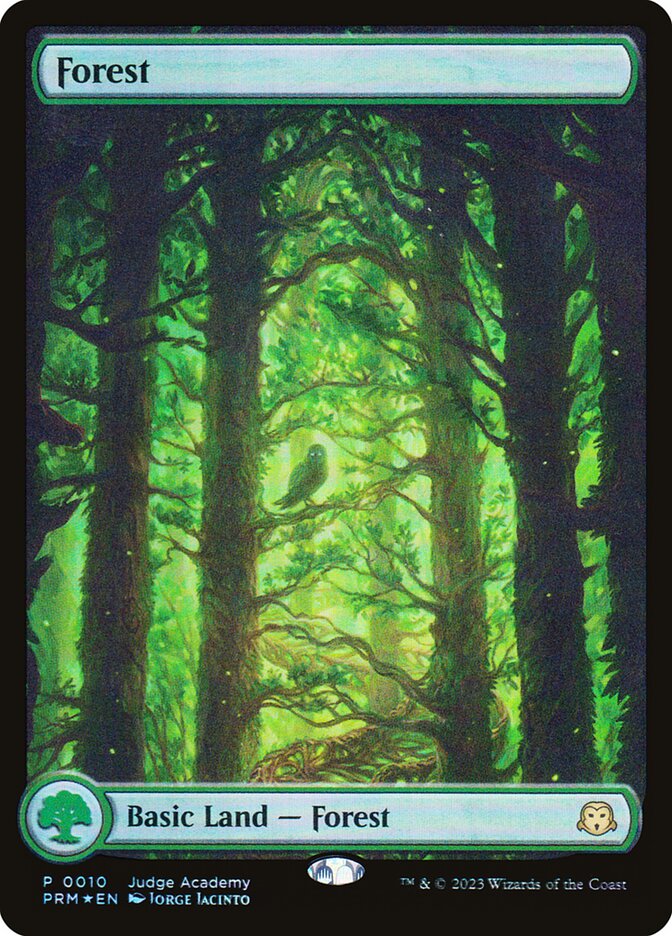 (英)【Foil】森 / Forest【PRM】2023年 ジャッジ褒賞 (Jorge Jacinto) フルアート版 No.120