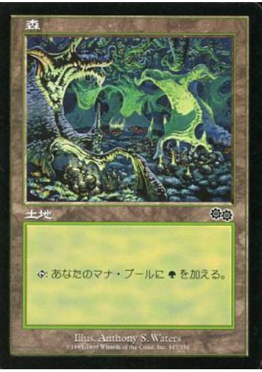 (日)森 / Forest【USG】 No.347