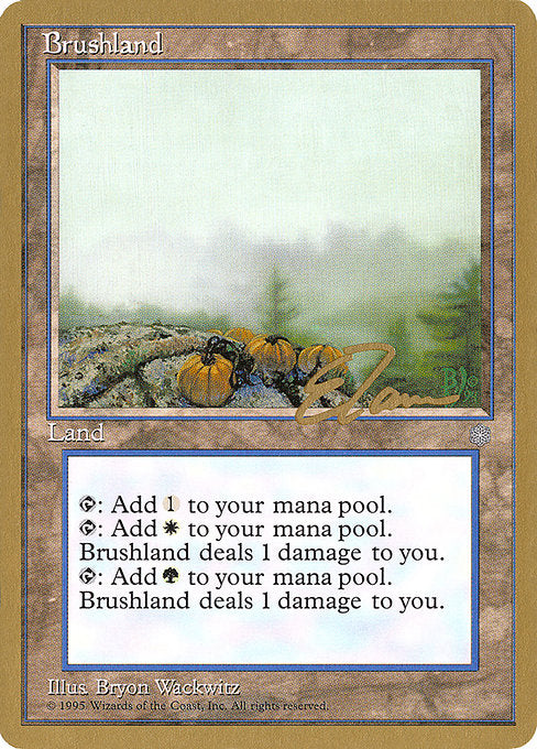 (英)低木林地 / Brushland【PTC】 ProTour NewYork Decks 1996 Eric Tam 金枠 No.231