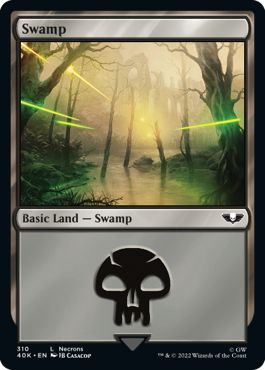 (英)沼 / Swamp【40K】 No.310