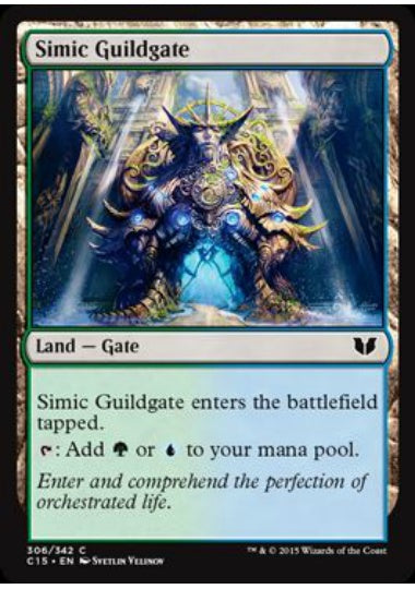 (英)シミックのギルド門 / Simic Guildgate【C15】 No.306