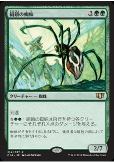 (日)絹鎖の蜘蛛 / Silklash Spider【C14】 No.214