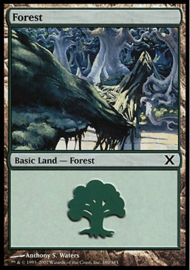 (英)森 / Forest【10E】 No.380