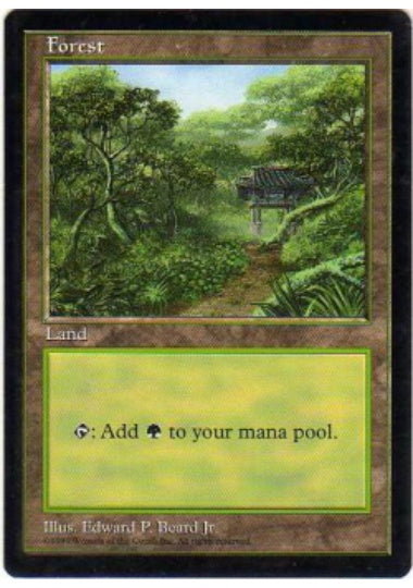 (英)森 / Forest【PRM】 韓国 APAC LAND3 APACランド No.030