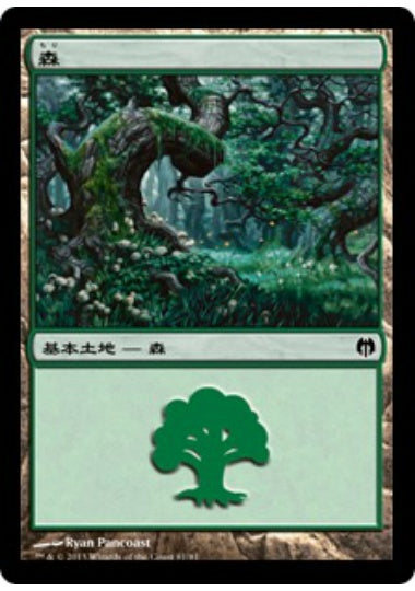 (日)森 / Forest【HVSM】 No.081