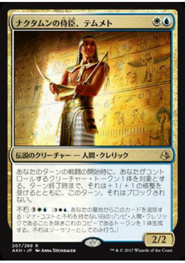 (日)ナクタムンの侍臣、テムメト / Temmet, Vizier of Naktamun【AKH】 No.207